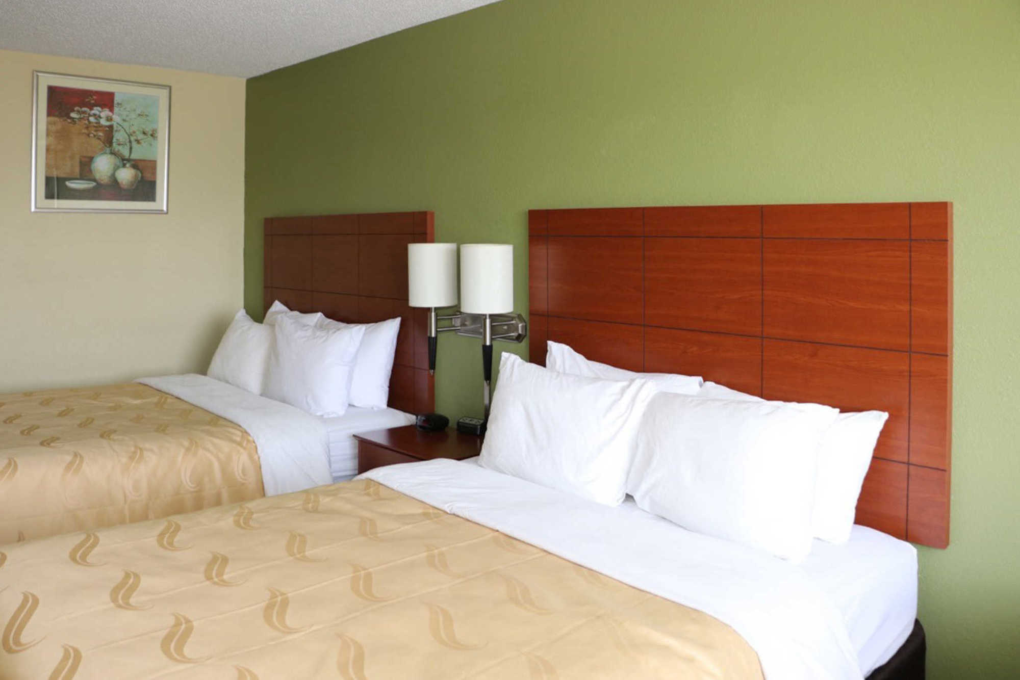 Quality Inn East Evansville Phòng bức ảnh